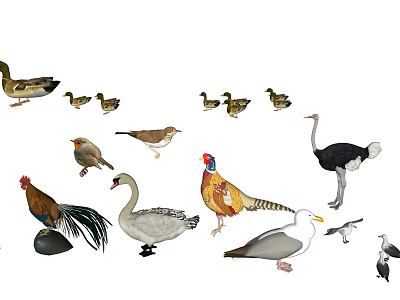 Diverse Reptile Species Including Lizards Snakes And Turtles In Natural Habitat 3d model