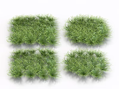 Four Square Lush Green Grass Patches Arranged In Two Rows And Two Columns 3d model Four Square Lush Green Grass Patches Arranged In Two Rows And Two Columns 3d model