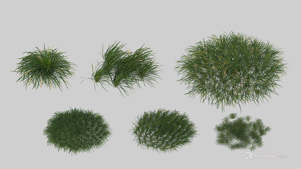 Different Types Of Green Shrubs With Rounded And Bushy Foliage For Gardens 3d model 