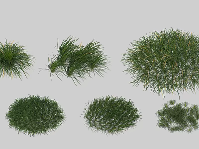 Different Types Of Green Shrubs With Rounded And Bushy Foliage For Gardens 3d model