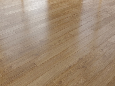 Modern Flooring Wood Flooring model