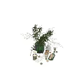 Elegant Tea Set Display With Fresh Green Plant Candles And Macarons On White Table