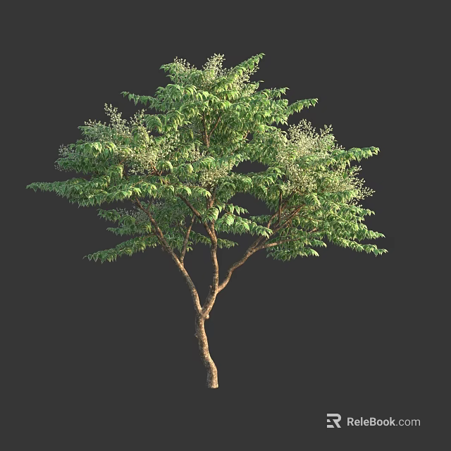 Lush Green Arbor With Dense Foliage And Multiple Branches On Dark Background 3d model