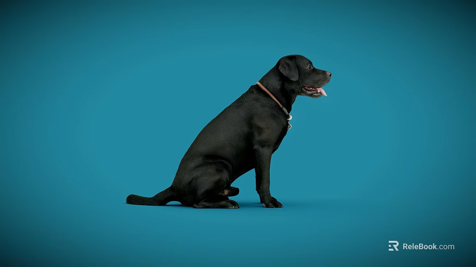 Black Reptile Sitting Calmly On Blue Background With Collar And Open Mouth 3d model 