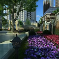 Scenic Residential Landscape With Tall Trees Colorful Flower Beds Lamp Post And Garden Pathway