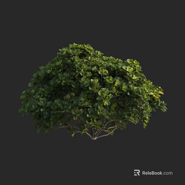 Lush Green Arbor With Dense Foliage And Rounded Canopy Shape 3d model