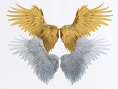 Decorative Wall Decor With Golden And Silver Feathered Angel Wings Design 3d model