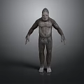 Standing Ape Like Creature With Full Body Hair And Upright Posture On Gray Background