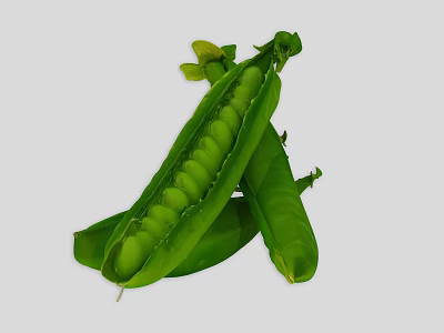 Fresh Green Peas in Opened Pea Pods with Tender Texture and Vibrant Color 3d model