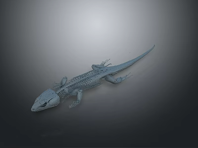 Wireframe Lizard 3D Model Featuring Detailed Structure On Gray Digital Background 3d model