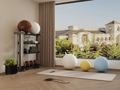 Home Sports Equipment Setup With Exercise Balls Dumbbells Yoga Mat And Window View 3d model
