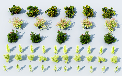 Modern shrubs 3d model