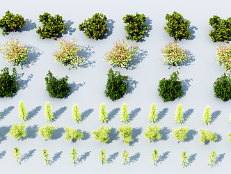 Modern shrubs 3d model