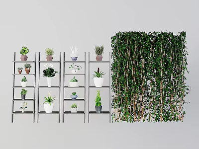 Potted Bonsai Plants Arranged On Shelves With Green Hanging Plant Wall 3d model