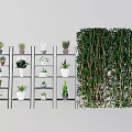 Potted Bonsai Plants Arranged On Shelves With Green Hanging Plant Wall