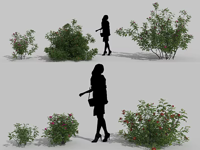 Colorful Flowering Shrubs With People Silhouettes In Outdoor Garden Scene 3d model