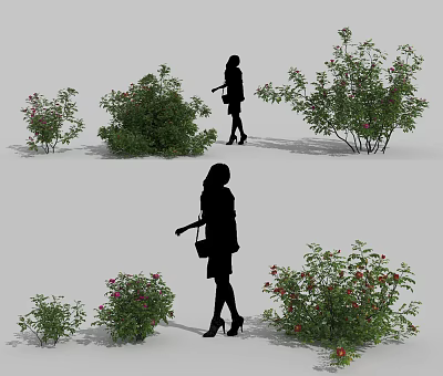 Colorful Flowering Shrubs With People Silhouettes In Outdoor Garden Scene 3d model