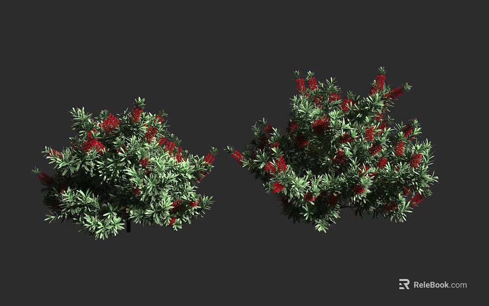 Lush Shrubs With Green Leaves And Vibrant Red Berries In Outdoor Space 3d model 