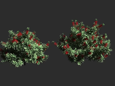 Lush Shrubs With Green Leaves And Vibrant Red Berries In Outdoor Space 3d model