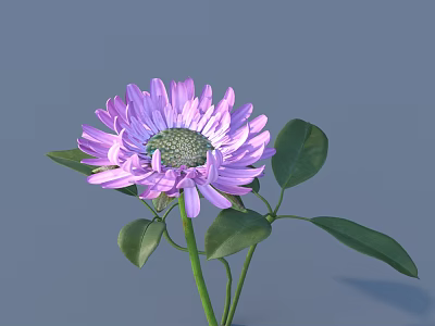 Beautiful Purple Flower with Green Leaves Stem and Central Disk in Ceramic Vase for Home Decoration 3d model