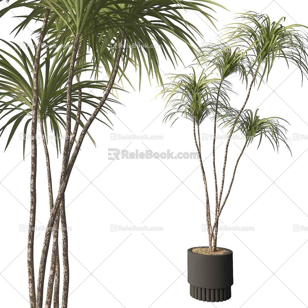 Modern Green Plant Potted Plant 3d model