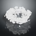 Fluffy White Circular Botanical Plant With Reflective Texture On Black Background 3d model
