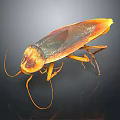Cockroach With Orange And Black Body Long Antennae Shiny Exoskeleton