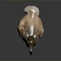 Dodo Bird With Brown Feathers Yellow Feet Black Beak Plump Body And Short Wings