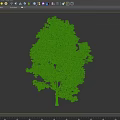 modern sycamore tree 3d model