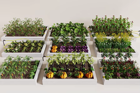 Modern vegetable garden vegetable field tomato pepper pumpkin carrot eggplant 3d model