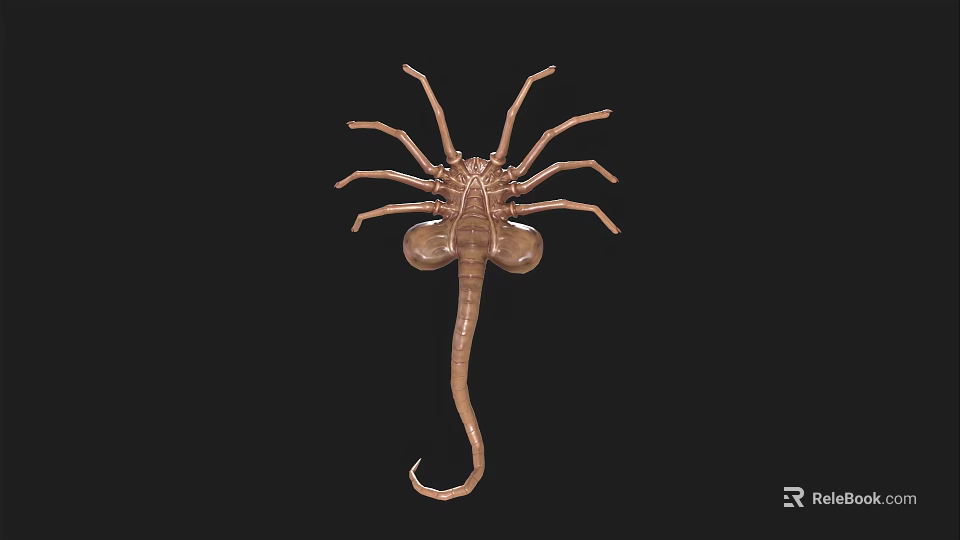 Detailed Brown Scorpion 3D Model With Segmented Body And Curved Tail 3d model 