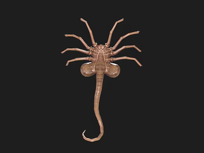 Detailed Brown Scorpion 3D Model With Segmented Body And Curved Tail 3d model