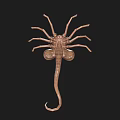 Detailed Brown Scorpion 3D Model With Segmented Body And Curved Tail
