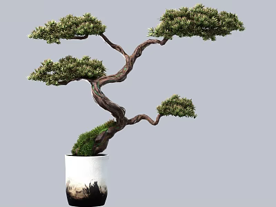 Artistic Bonsai Tree with Twisted Trunk and Lush Foliage in White Pot with Black Base 3d model
