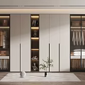 Modern Wardrobe Interior Design With Glass Door Built in Lighting and Clothing Storage