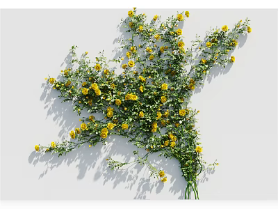 Decorative Vine with Yellow Flowers and Green Leaves on White Background Creating Natural Shadows 3d model