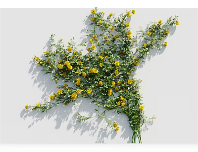 Decorative Vine with Yellow Flowers and Green Leaves on White Background Creating Natural Shadows 3d model