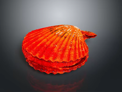 Vibrant Red Scallop Ribbed Shell Structure Against Dark Background With Reflection 3d model