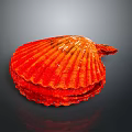 Vibrant Red Scallop Ribbed Shell Structure Against Dark Background With Reflection