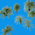 Several Palm Trees with Green Fronds and Tall Trunks against Blue Background