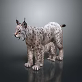 Alert Wild Lynx with Tufted Ears and Spotted Fur Standing on Dark Isolated Background