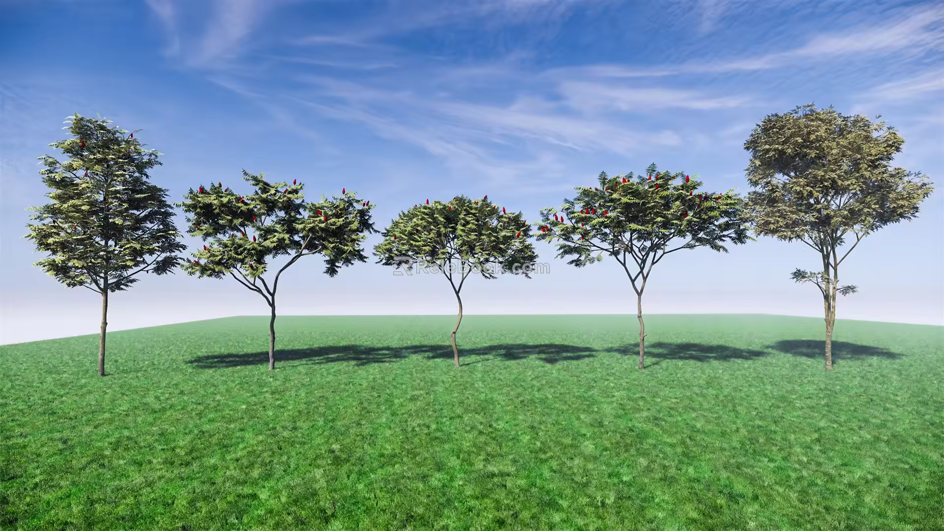 Modern Trees Luan Trees Street Trees Landscape Trees Arbor 3d model