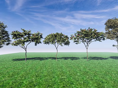 Tall Arbor Trees Standing on Lush Green Grass Under Blue Sky with White Clouds 3d model