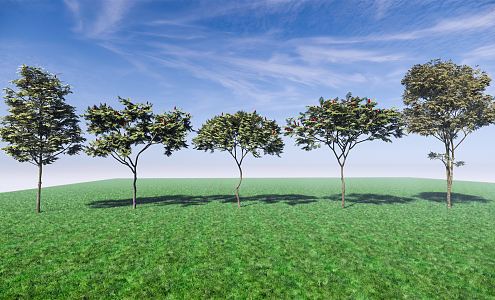 Modern Trees Luan Trees Street Trees Landscape Trees Arbor 3d model