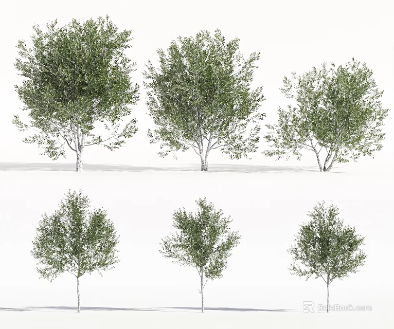 Arbor Trees With Green Foliage In Various Sizes And Natural Forms 3d model