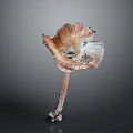 Fresh Edible Mushroom With Unique Cap Shape And Natural Textured Stem