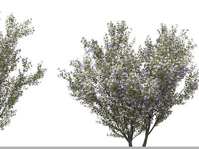 Flowering Trees With Purple Blossoms And Green Leaves In Garden 3d model