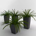 Group of Green Fern Potted Plants in Gray Square Ceramic Planters for Indoor Decor