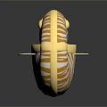 Nautilus Marine Creature With Yellow And White Striped Shell And Golden Edges