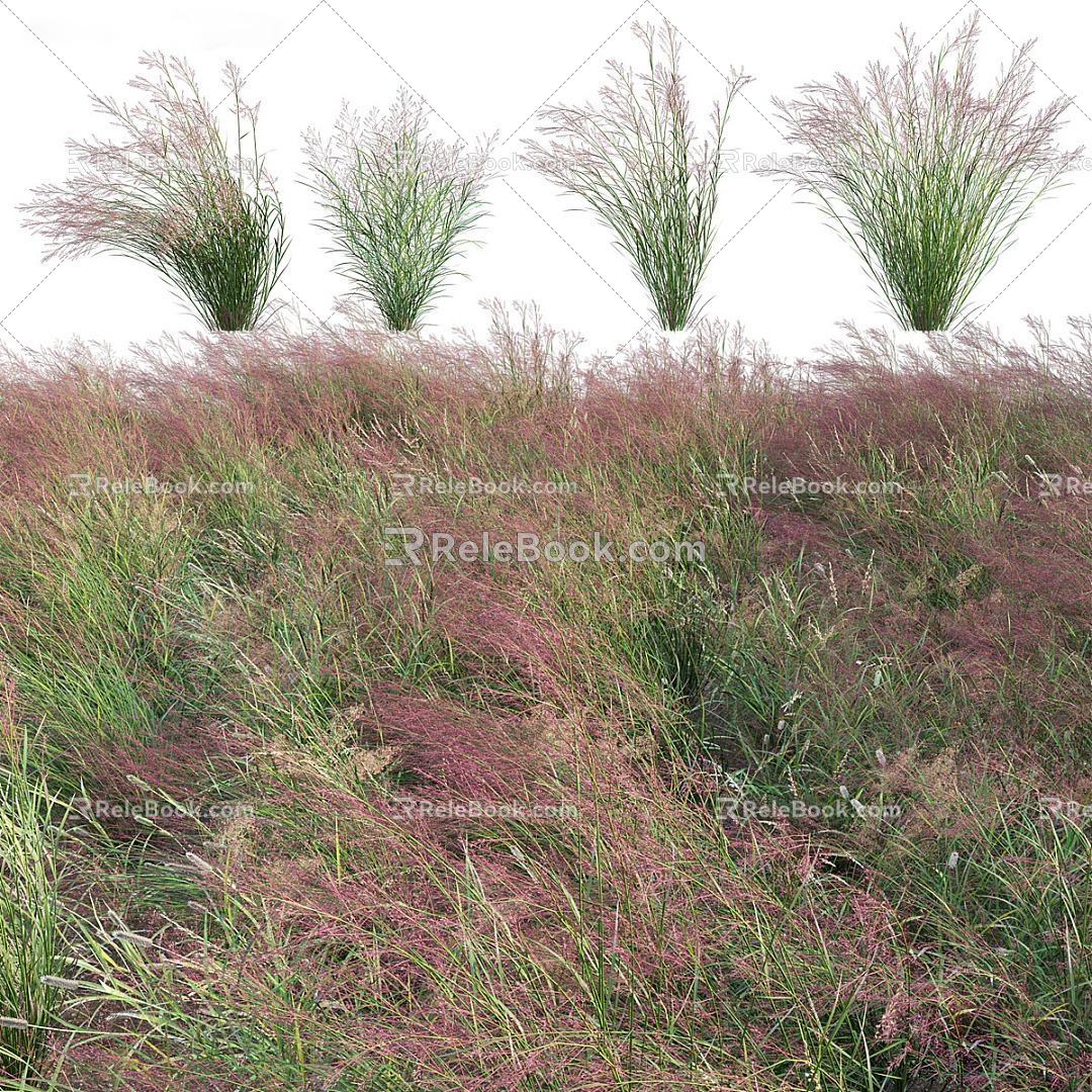 modern grass weeds wild flowers flowers 3d model